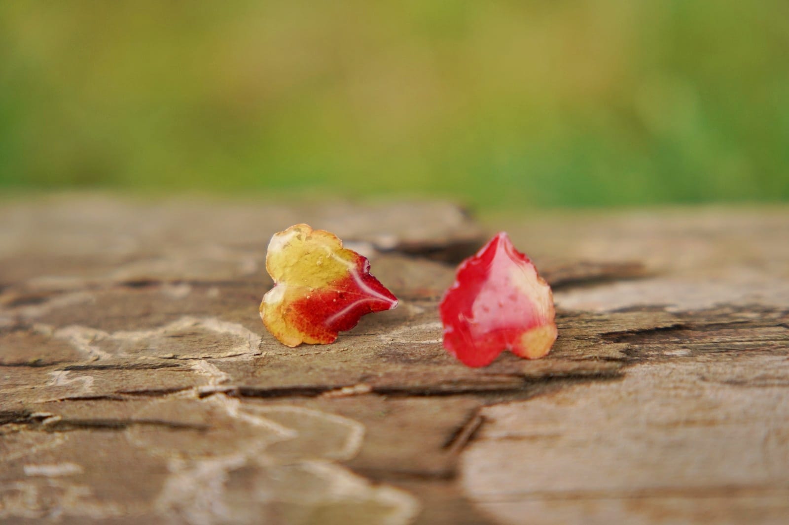 Les collections whatsapp image 2025 12 29 at 19.49.59