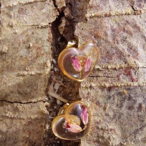 capillaiure des murailles hexagone