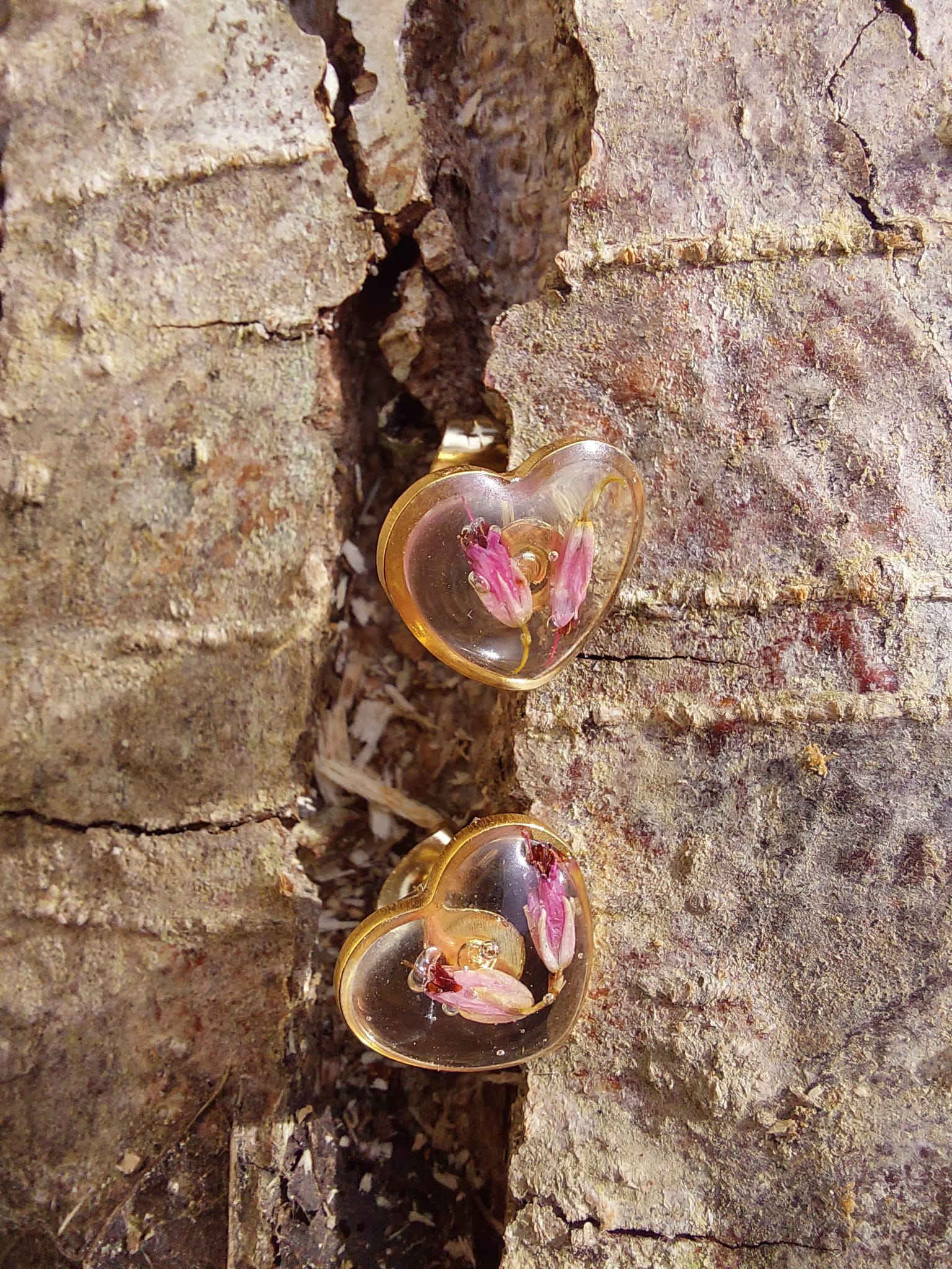 Les collections capillaiure des murailles hexagone