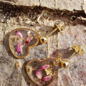 capillaiure des murailles hexagone