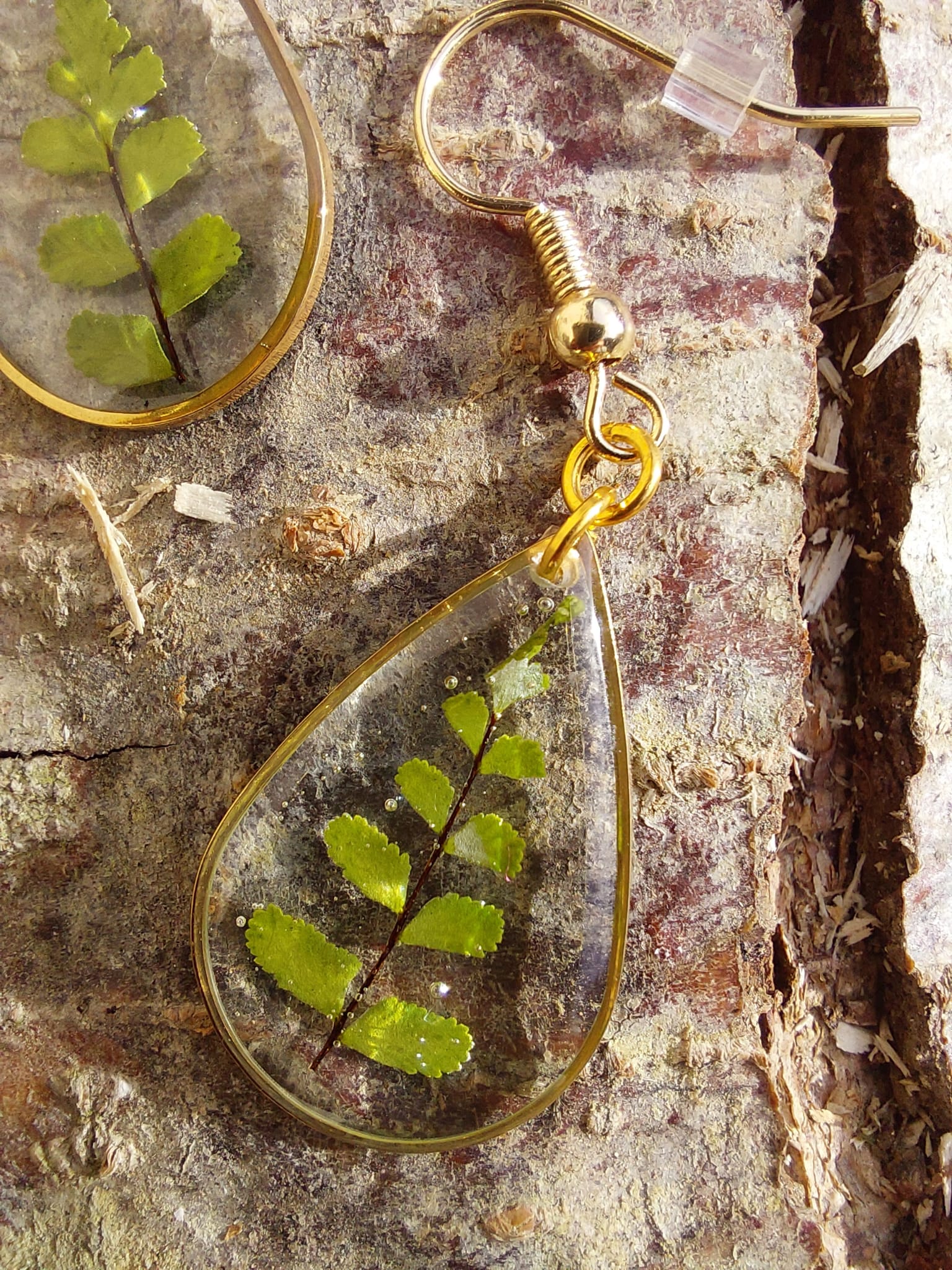 Les collections capillaiure des murailles hexagone