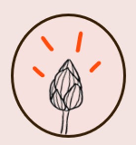 atelier.bourgeon-nous.fr