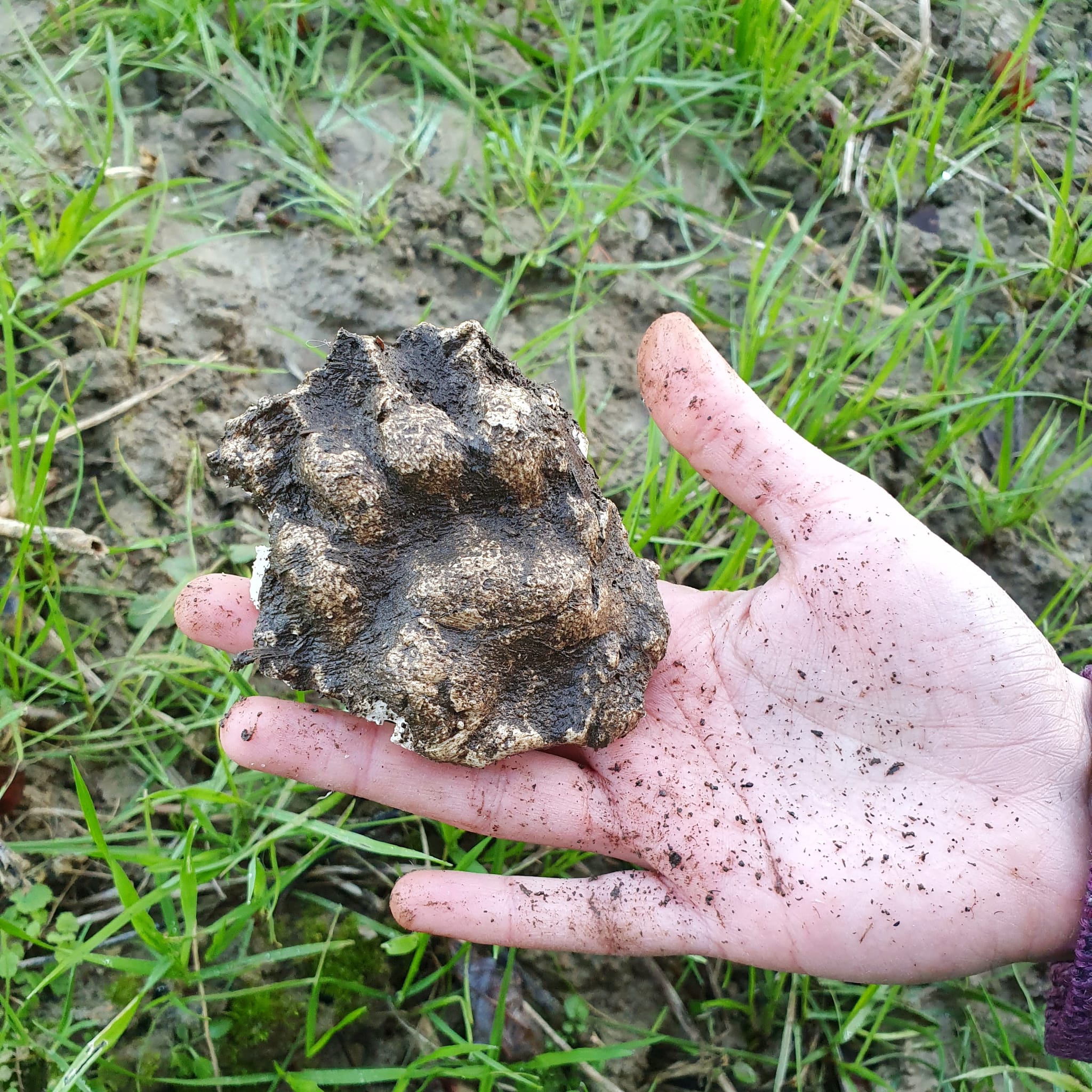 whatsapp image 2025 12 30 at 15.26.27