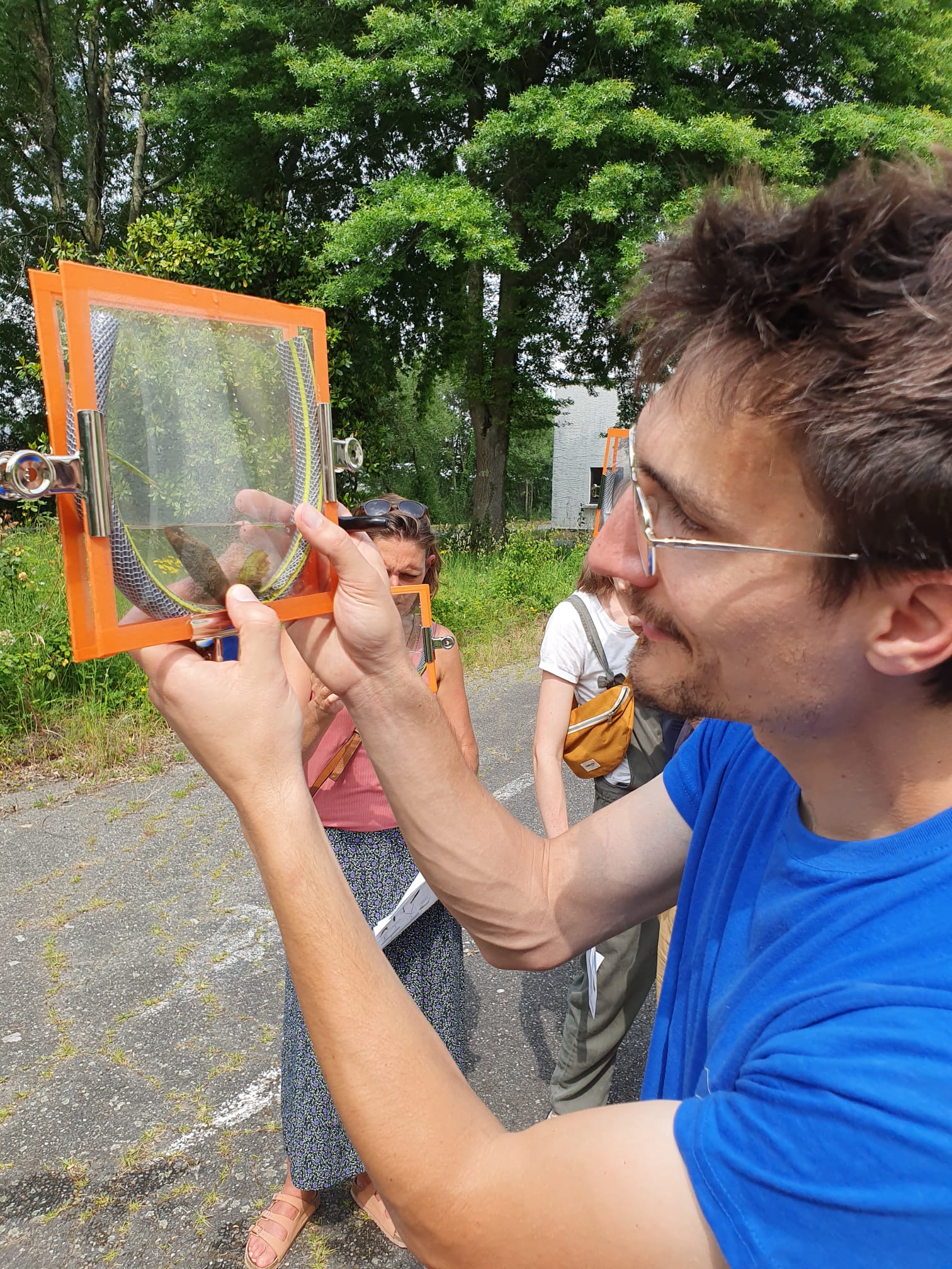 whatsapp image 2025 12 30 at 15.29.08