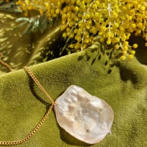 whatsapp image 2026 03 01 at 13.07.54