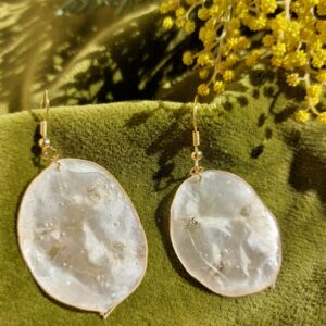 whatsapp image 2026 03 01 at 13.07.58 (2)