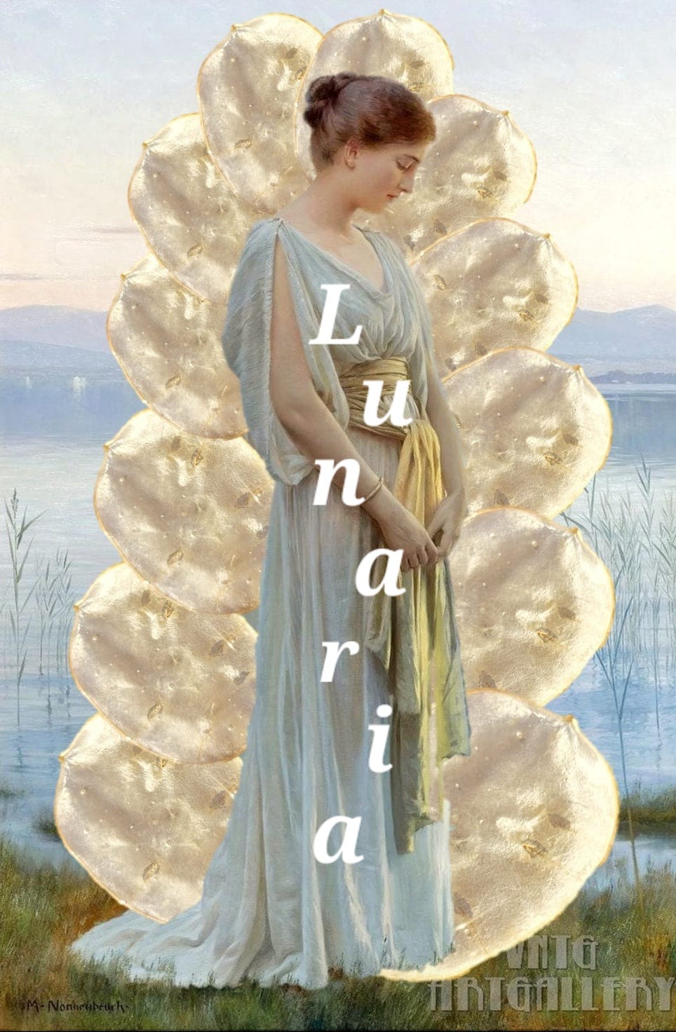 whatsapp image 2026 03 01 at 13.07.59