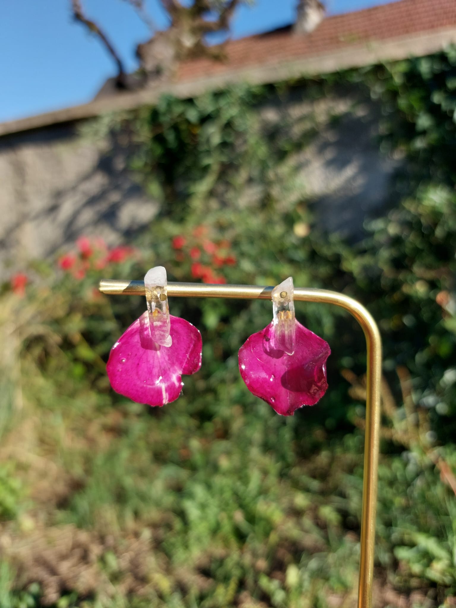 rosalia petites rosalia petites