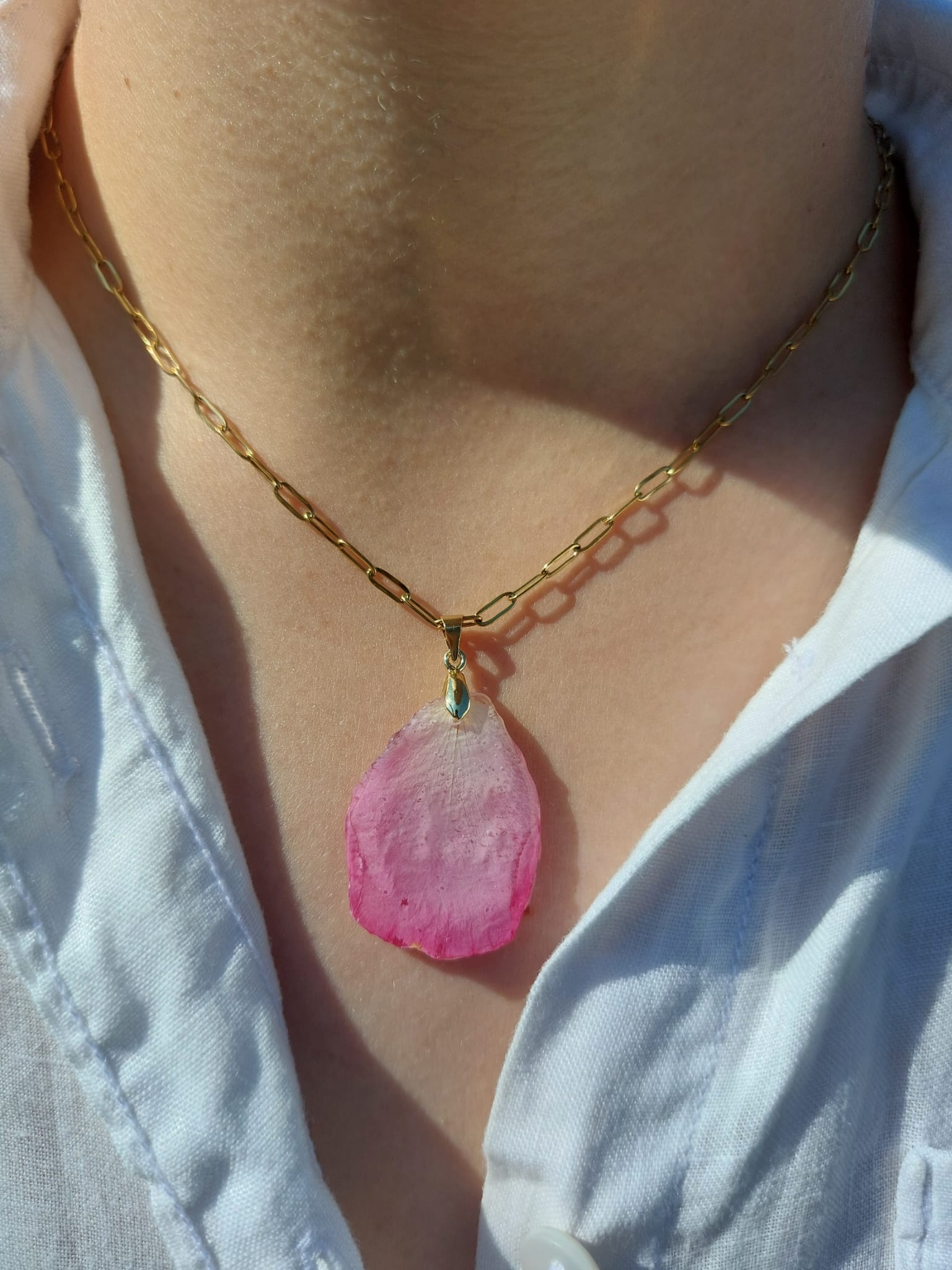 rosa collier 1 pétale rosa collier 1 pétale