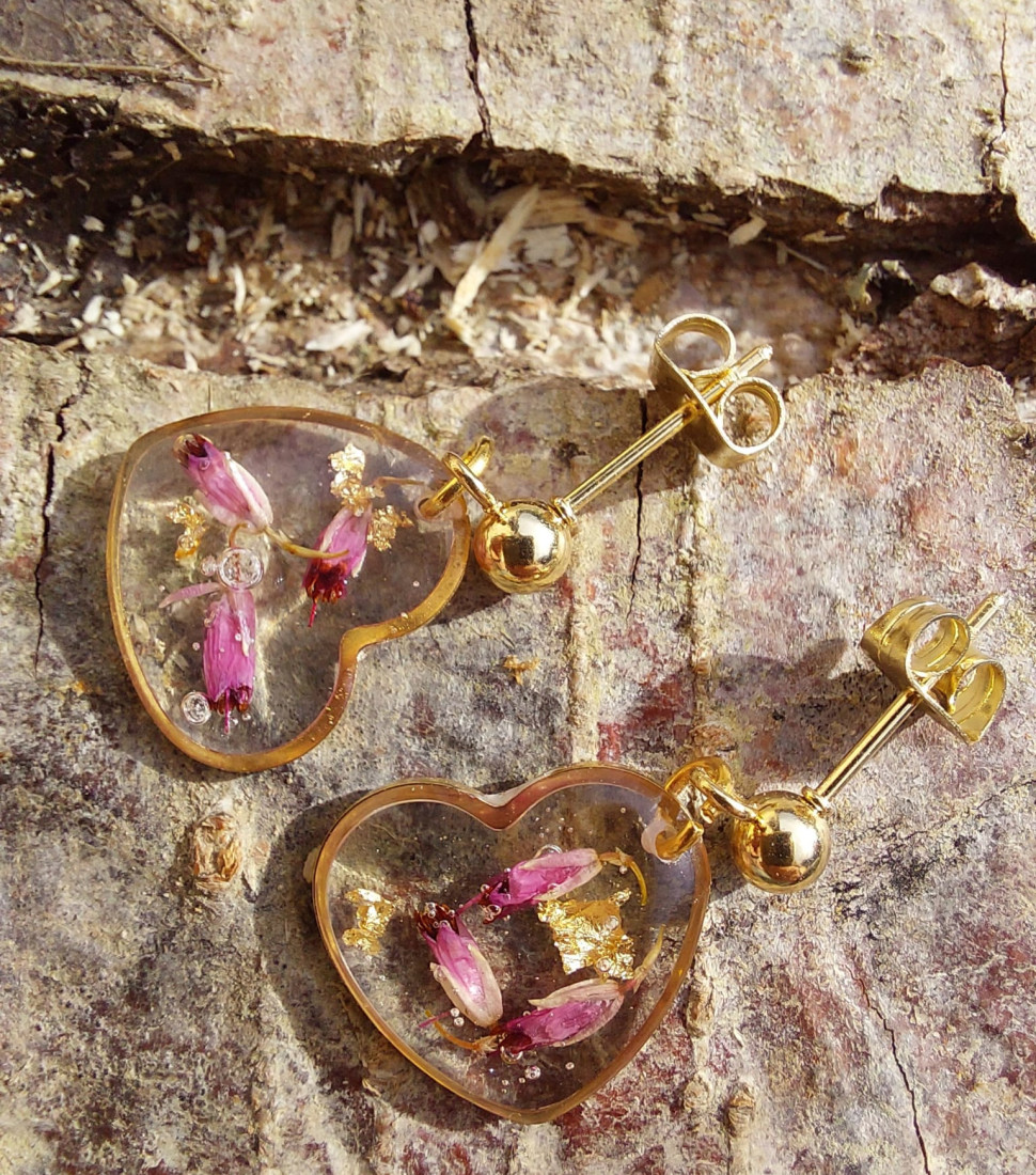 capillaiure des murailles hexagone